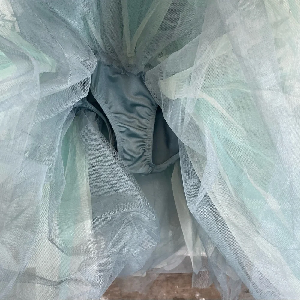 Curtain Call ballet tutu